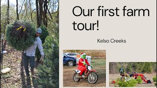 Christmas Tree Farm Tour 1 [upl. by Aynatal]