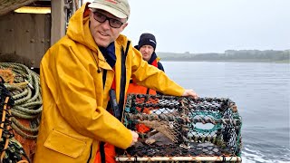 Monitoring Green Crabs around a Creel Pot with a CatchCam camera  Fishing in Scotland [upl. by Llennoj]