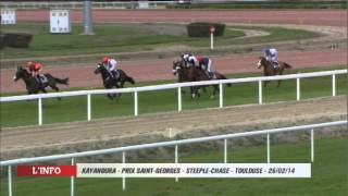 Nathalie Desoutter  Prix SaintGeorges  Toulouse 260214 [upl. by Aonian476]