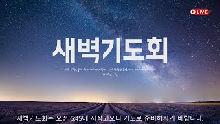 구미시민교회 2024년 06월 26일 새벽기도회 [upl. by Efthim]