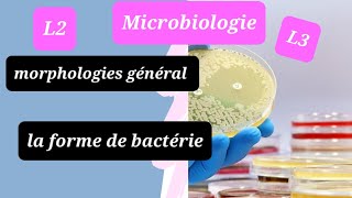 les bactéries 💯 L2L3 microbiologie de snv résumé morphologies général et la forme de bactérie🦠 [upl. by Metts]