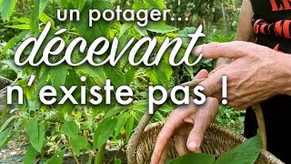 Un potager jamais décevant [upl. by Eelidnarb]