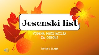 VODENA MEDITACIJA ZA OTROKE vizualizacija Jesenski list [upl. by Hilario]