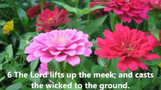 Scottish Metrical Psalms  Psalm 147 with wordsLyrics Sang Acapella [upl. by Storfer]