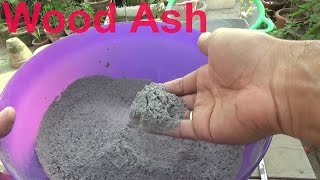 How to Make Plant Fertilizer  Wood Ash for Plants  Best Homemade Fertilizer Urduhindi [upl. by Aihsi41]