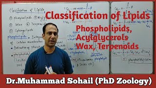 Classification of Lipids  Phospholipids  Acylglycerols  Waxescutin  Terpenoids [upl. by Osicnarf877]