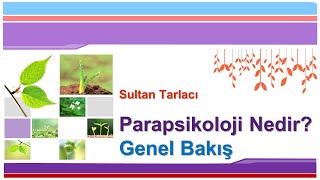 Parapsikoloji ve Duyular Dışı Algı Bilimsel Veriler [upl. by Beetner787]