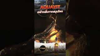 ทำความรู้จัก Aquavit เหล้ากลั่นจากสมุนไพรและยี่หร่า alsociety เครื่องดื่ม เกร็ดความรู้ [upl. by Eirrotal]