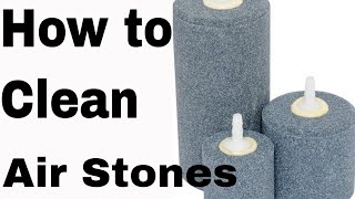 How To clean and disinfect air stones airstone [upl. by Demetra]