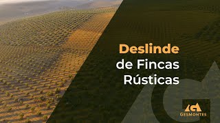 Deslinde de Fincas Rústicas [upl. by Aznecniv510]