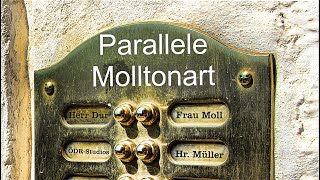 Parallele Molltonart einfach finden  Tonleiter  Musikunterricht mit Herrn Müller Lektion 68 [upl. by Germaine21]