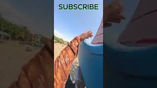 parkour pov play reverse ground youtubeshorts shorts parkour pov [upl. by Xaviera]