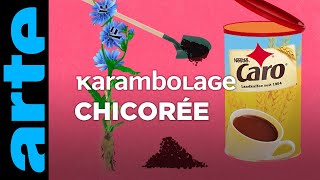 Chicorée  Karambolage  ARTE [upl. by Longwood]