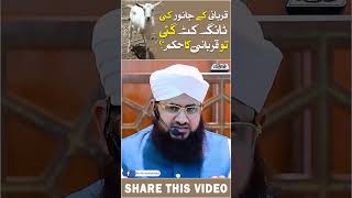 Qurbani K Janwar Ki Tang Tooti Ho to Qurbani Ka Hukam  Mufti Shafiq Attari [upl. by Goodman]