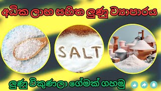 ලුණු ව්‍යාපාරය Salt Business in Sri Lanka  ලුණු විකුණලා ගේමක් ගහමු [upl. by Ofilia]