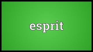 Esprit Meaning [upl. by Akcire]