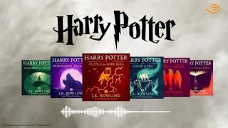 Lintégrale dHarry Potter sur Audiblefr [upl. by Selinda]