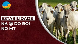 Mato Grosso do Sul mantém estabilidade nos preços da arroba do boi diz diretor da Famasul [upl. by Hanforrd]