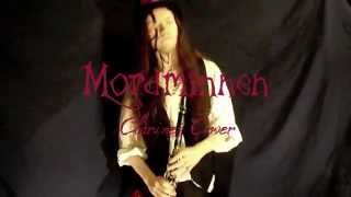 Mordminnen  Finntroll Clarinet Cover [upl. by Aldarcy993]