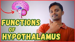 FUNCTIONS OF HYPOTHALAMUS IN TAMIL [upl. by Debarath]