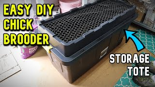 Easy DIY Chick Brooder YOU CAN BUILD [upl. by Suoivart]