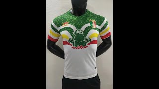 player version 2022 Mali away Africa Cup soccer jersey size S2XL [upl. by Shelman464]