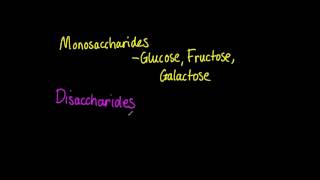 323 List three examples each of monosaccharides disaccharides and polysaccharides [upl. by Rengia958]