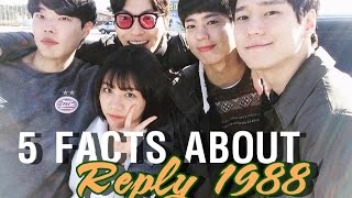 Reply 1988  5 Facts That You Might Dont Know [upl. by Telrats862]