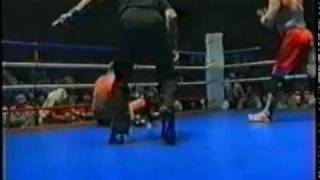 Fedor Emelianenko vs Levon Lagvilava [upl. by Rozalie]