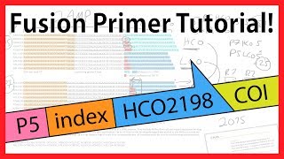 Developing fusion primers for DNA metabarcoding  sample indexing  tagging Illumina [upl. by Kilam62]