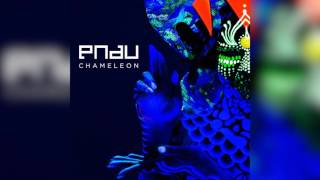 PNAU  Chameleon [upl. by Nerfe]