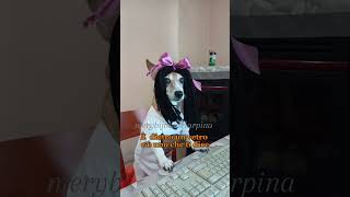 La risonanza magnetica 😂 merybijouesciarpina jackrussell pucci comedy com [upl. by Ennaer]