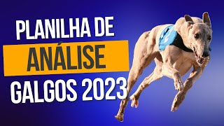 Planilha Análise Galgos Automática 2023  Corridas UK US E AUS  Extreme Galgos [upl. by Guenzi]