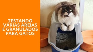 Testando várias areias e granulados para gato  Resenhas  Gato é Vida [upl. by Anissa751]