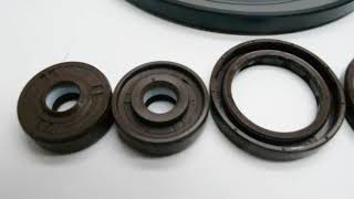 hydraulic pump or motors oil seals factory [upl. by Huston]