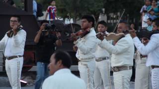 Propuesta de matrimonio con 100 Mariachis fundidora [upl. by Nnylyak187]