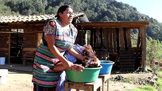 INGENIERO 👷‍♂️SE ENAMORA DE UNA CAMPESINA INALFABETA [upl. by Hallett]