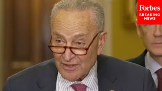 Senate Democrats Have Delivered Chuck Schumer Touts Dems Record [upl. by Enywad]