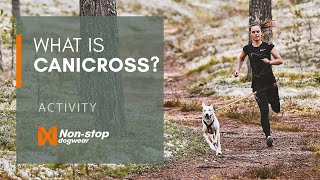 What is canicross Guide to running with your dog [upl. by Isa]