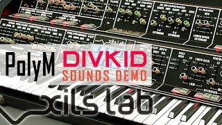 Xils Labs Poly Sounds Only Demo  Sonic LAB [upl. by Territus]