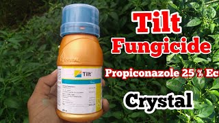 Propiconazole 25 Ec  Tilt Fungicide  Crystal Crop Protection [upl. by Elliven119]