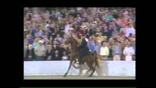 2010 Tennessee Walking Horse WGC The Coach [upl. by Smail]