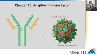 MICRO 111 Ch161 Basics of Adaptive Immunity  Introductory Microbiology [upl. by Anallise736]