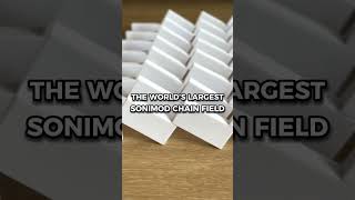 20000 dominoes to set a GUINNESS WORLD RECORDS™ title pt 1 [upl. by Mclaughlin]