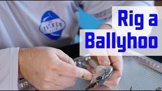 How to Rig a Ballyhoo for MONSTER OFFSHORE FISH [upl. by Culver]