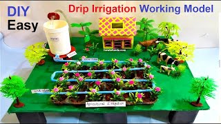 drip irrigation agriculture working model for science project exhibition  DIY  howtofunda [upl. by Manville]