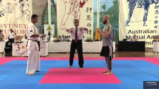 Full contact Karate Fight and a Knockout in 30 Secs Winner is Hamid Zandi [upl. by Aihk]