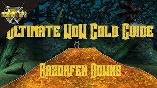 Razorfen Downs Gold Farming  The Ultimate WoW Gold Guide [upl. by Ysnat]