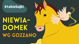 Niewiadomek  G Gozzano baśnie  bajka czytana dla dzieci pl  audiobook dla dzieci na dobranoc [upl. by Coralie]