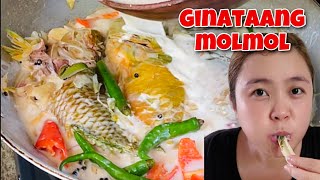 Ginataang Molmol Parrot Fish  Cookbang [upl. by Olsewski391]